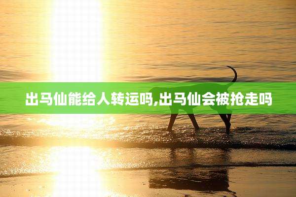 出马仙能给人转运吗,出马仙会被抢走吗