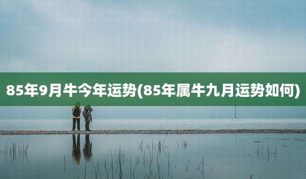 85年9月牛今年运势(85年属牛九月运势如何)