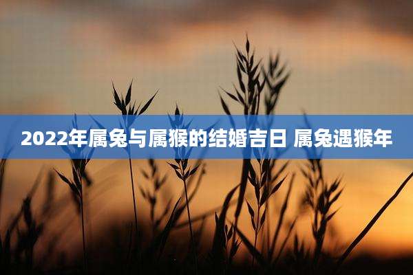 2022年属兔与属猴的结婚吉日 属兔遇猴年