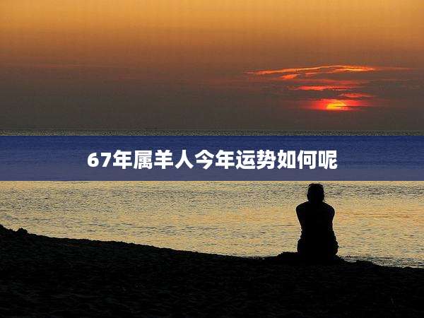 67年属羊人今年运势如何呢