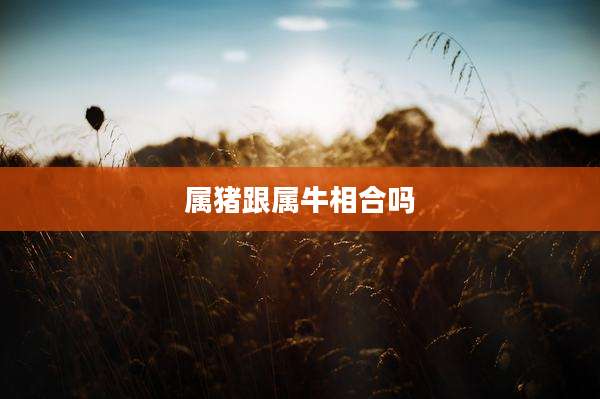 属猪跟属牛相合吗