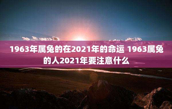 1963年属兔的在2021年的命运 1963属兔的人2021年要注意什么