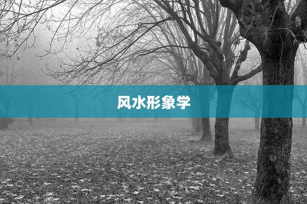 风水形象学