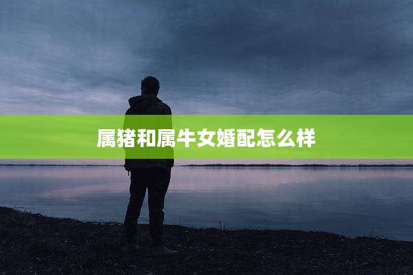 属猪和属牛女婚配怎么样