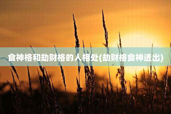 食神格和劫财格的人相处(劫财格食神透出)