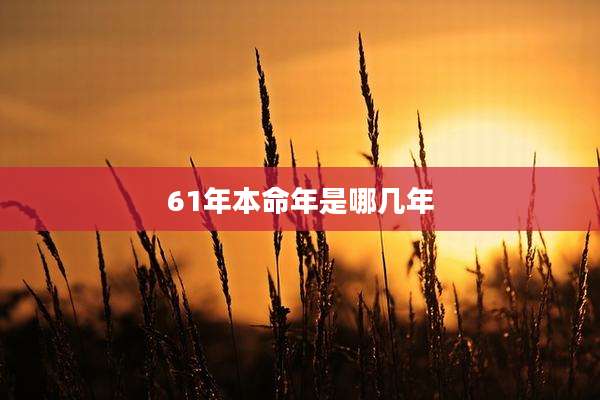 61年本命年是哪几年