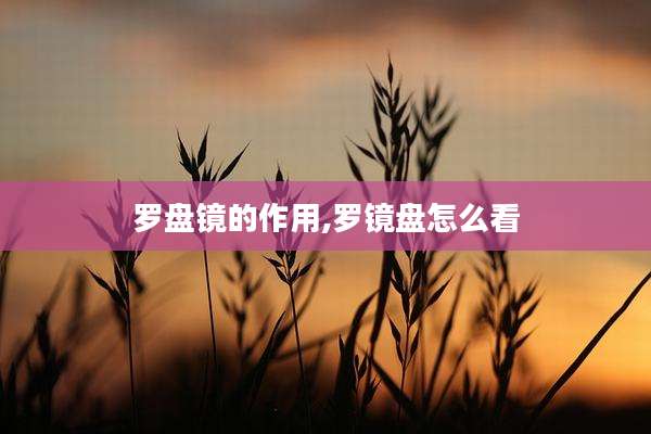 罗盘镜的作用,罗镜盘怎么看
