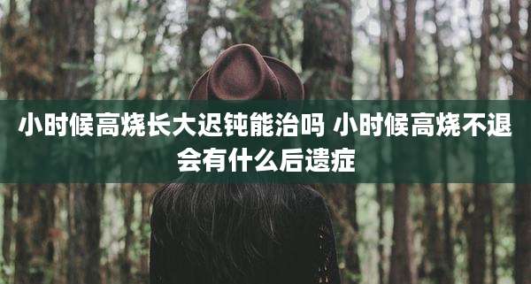 小时候高烧长大迟钝能治吗 小时候高烧不退会有什么后遗症