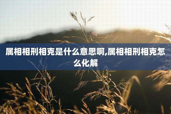 属相相刑相克是什么意思啊,属相相刑相克怎么化解