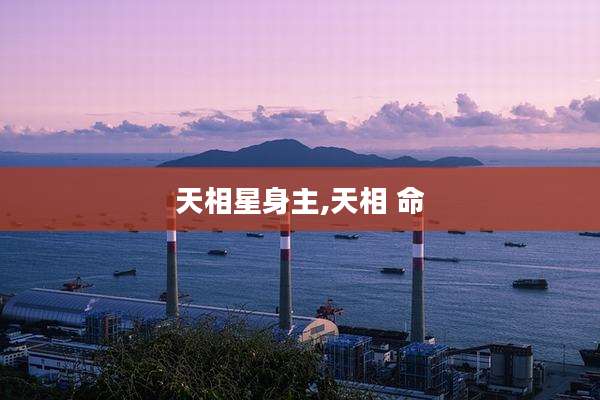 天相星身主,天相 命