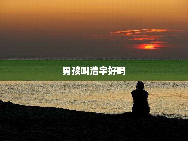 男孩叫浩宇好吗