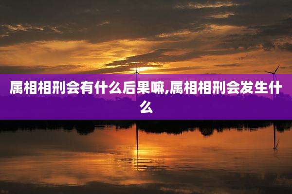 属相相刑会有什么后果嘛,属相相刑会发生什么