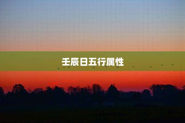 壬辰日五行属性