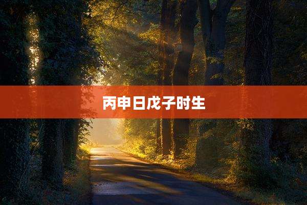 丙申日戊子时生