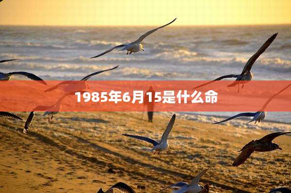 1985年6月15是什么命
