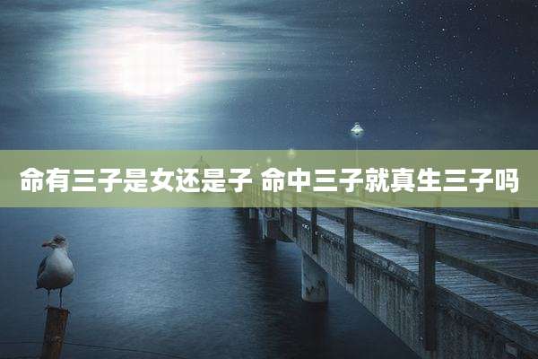 命有三子是女还是子 命中三子就真生三子吗