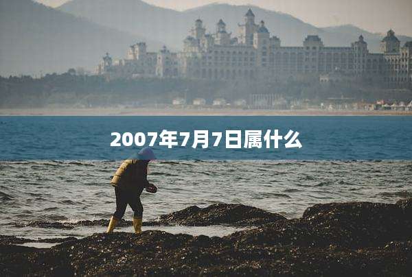 2007年7月7日属什么