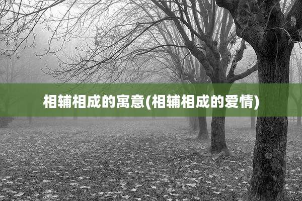 相辅相成的寓意(相辅相成的爱情)