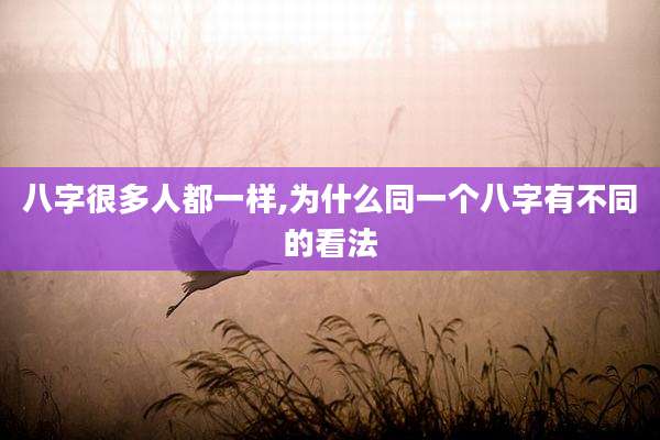 八字很多人都一样,为什么同一个八字有不同的看法