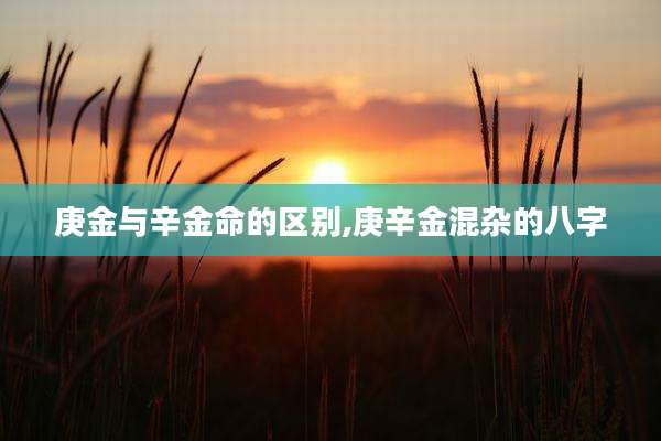 庚金与辛金命的区别,庚辛金混杂的八字