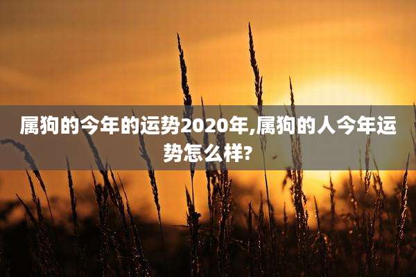 属狗的今年的运势2020年,属狗的人今年运势怎么样?