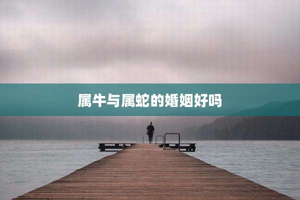 属牛与属蛇的婚姻好吗