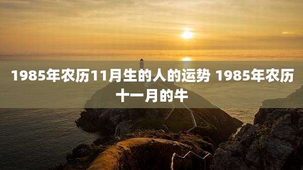 1985年农历11月生的人的运势 1985年农历十一月的牛