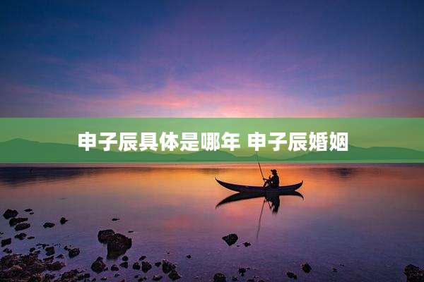申子辰具体是哪年 申子辰婚姻