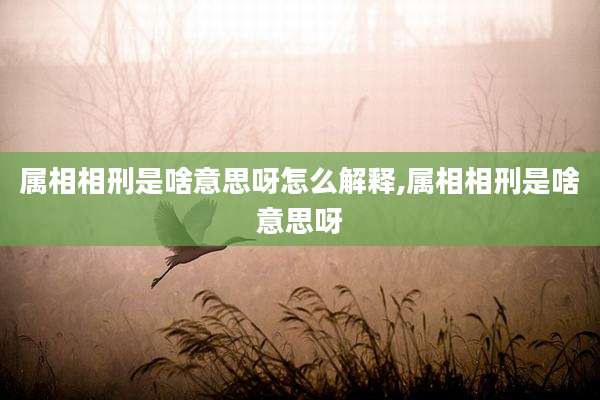 属相相刑是啥意思呀怎么解释,属相相刑是啥意思呀