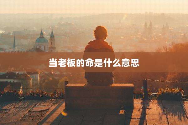 当老板的命是什么意思