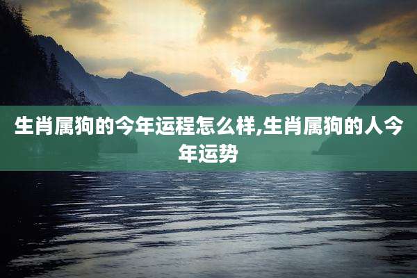 生肖属狗的今年运程怎么样,生肖属狗的人今年运势