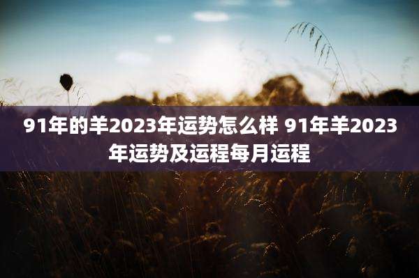 91年的羊2023年运势怎么样 91年羊2023年运势及运程每月运程