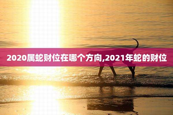 2020属蛇财位在哪个方向,2021年蛇的财位