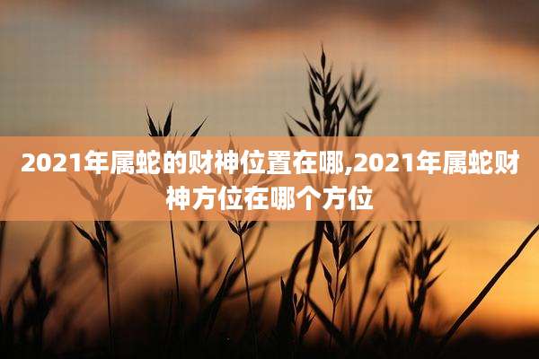 2021年属蛇的财神位置在哪,2021年属蛇财神方位在哪个方位