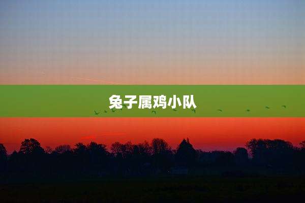 兔子属鸡小队