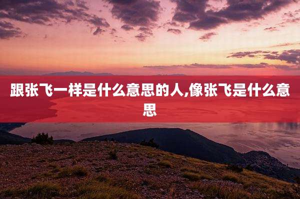 跟张飞一样是什么意思的人,像张飞是什么意思