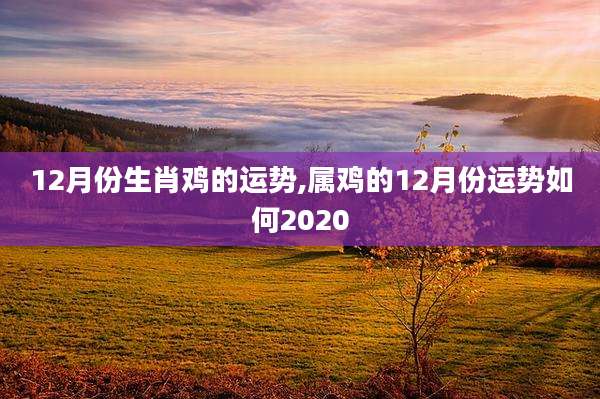 12月份生肖鸡的运势,属鸡的12月份运势如何2020