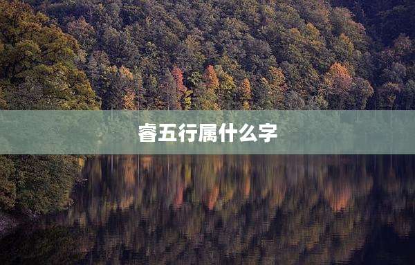 睿五行属什么字
