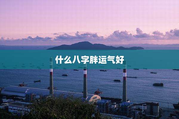 什么八字胖运气好