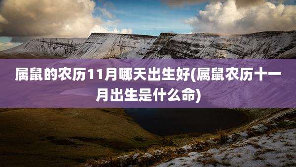 属鼠的农历11月哪天出生好(属鼠农历十一月出生是什么命)