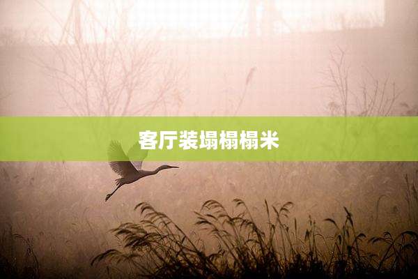 客厅装塌榻榻米