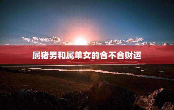 属猪男和属羊女的合不合财运