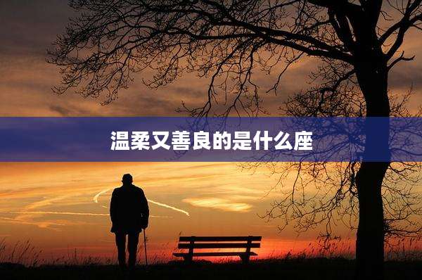 温柔又善良的是什么座