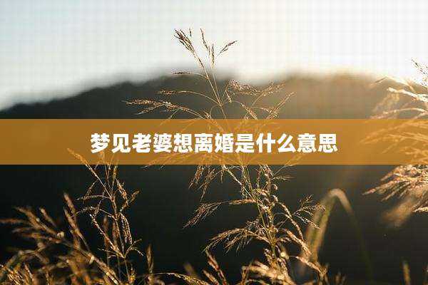 梦见老婆想离婚是什么意思