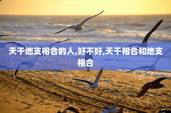 天干地支相合的人,好不好,天干相合和地支相合