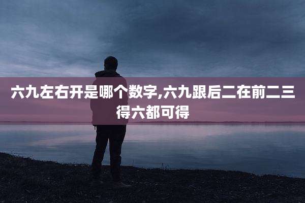 六九左右开是哪个数字,六九跟后二在前二三得六都可得
