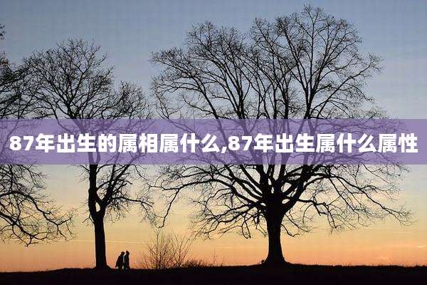 87年出生的属相属什么,87年出生属什么属性
