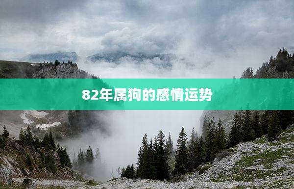 82年属狗的感情运势