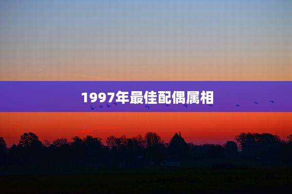 1997年最佳配偶属相