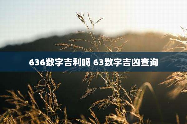 636数字吉利吗 63数字吉凶查询